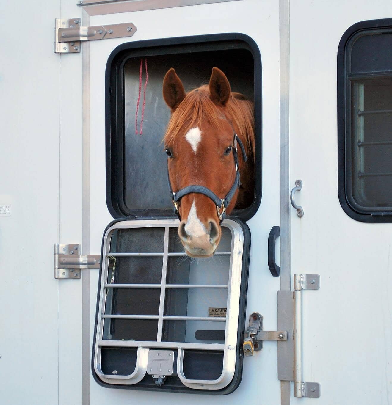 Horse Trailer Service P&S Road Service Ocala & Surrounding Areas